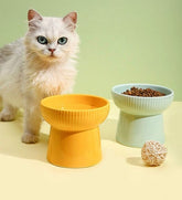 KUTKUT Ceramic Cat Food Or Water Bowl, Raised Cat Feeder Dishes with Stand, Elevated Pet Food Bowl for Cats and Small Dogs, Stress Free Backflow Prevention, Anti Vomiting & Reduce Neck Burden